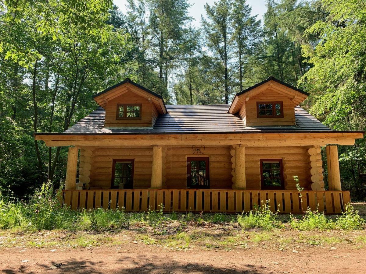 Vakantiehuis De 7 Geweien Емст Екстериор снимка